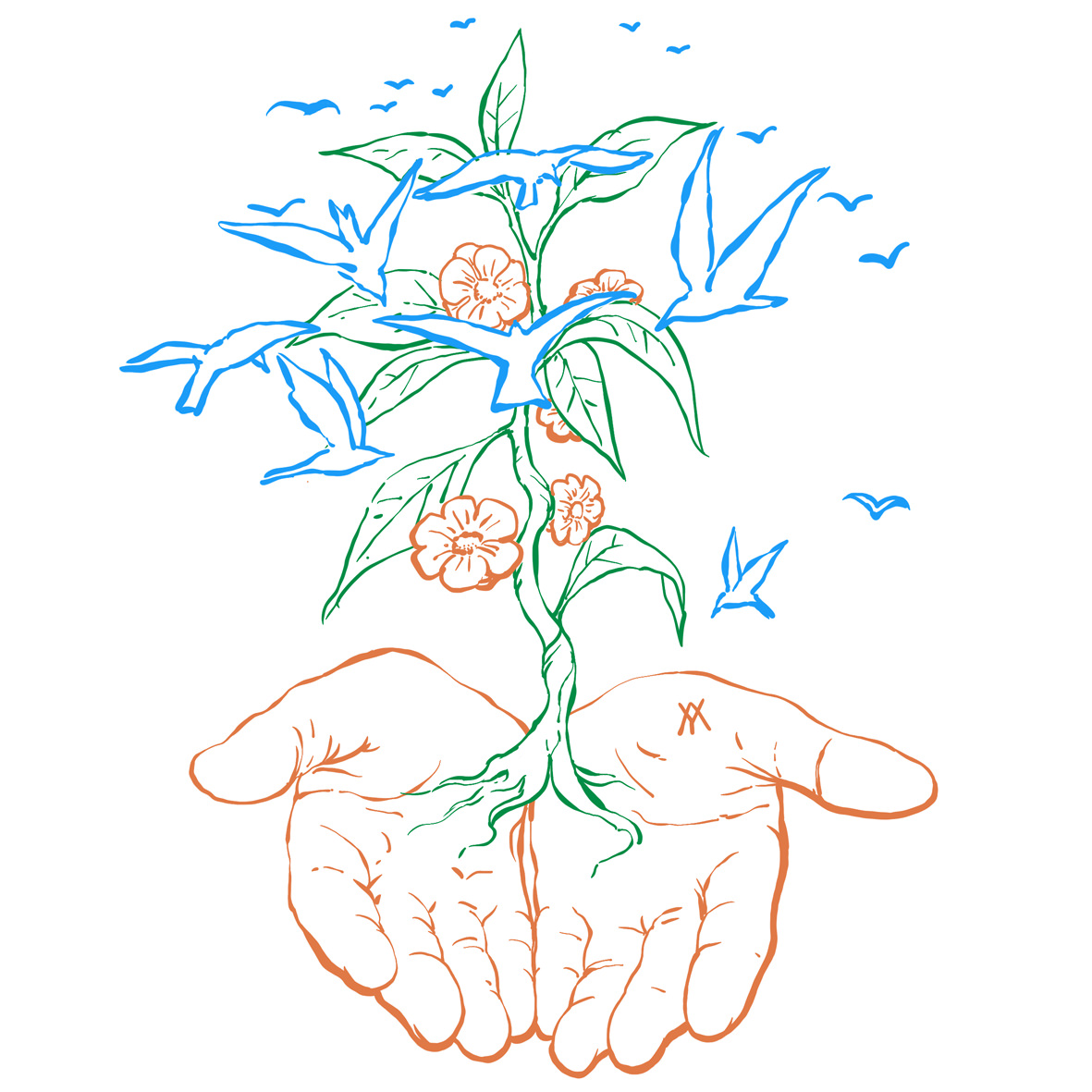 Sow, learn and growth, illustration