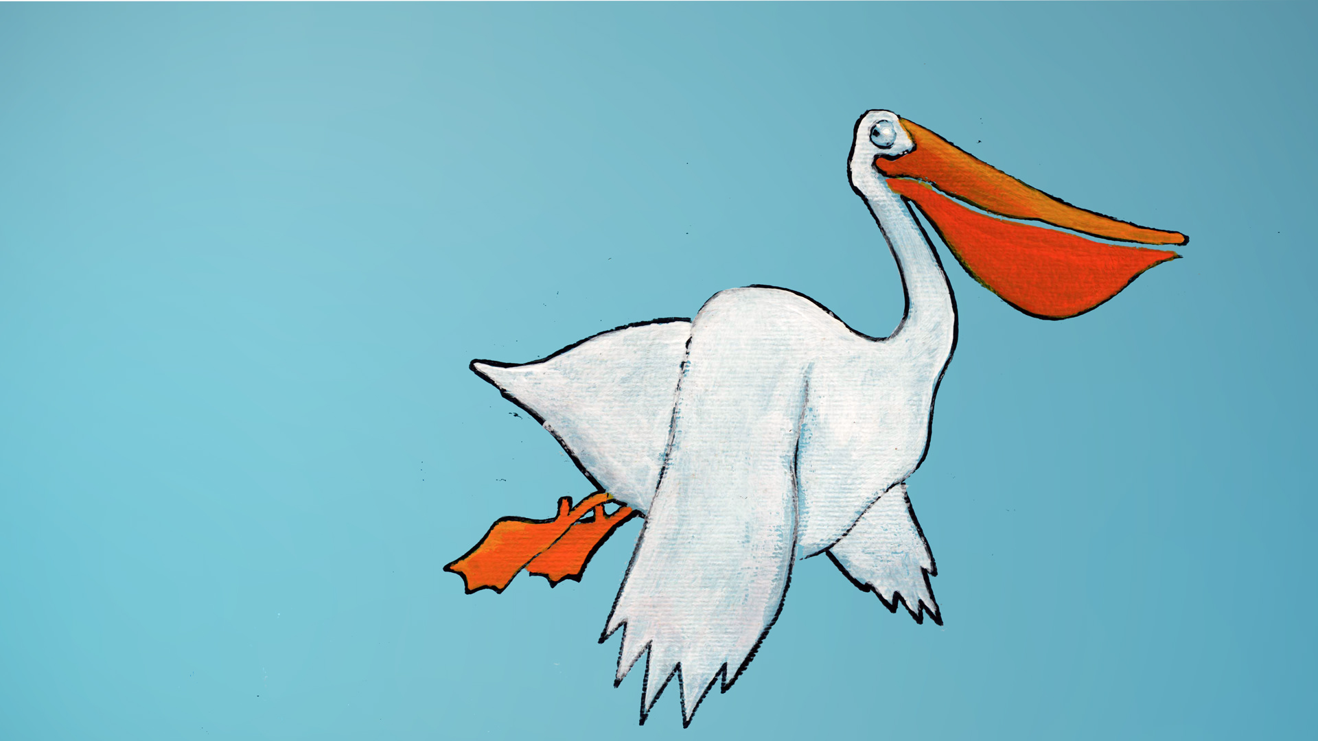 Pelican, WIP illustration